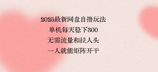 2025最新网盘自撸玩法，单机每天稳下3张，无需流量和拉人头，一个人就可轻松矩阵，全网独一份【揭秘】-灼光资源宝库