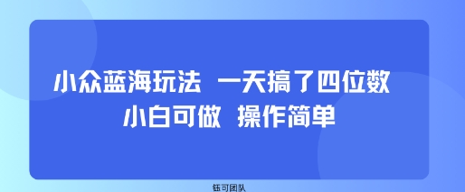小众蓝海玩法 一天搞了四位数 小白可做 操作简单-灼光资源宝库