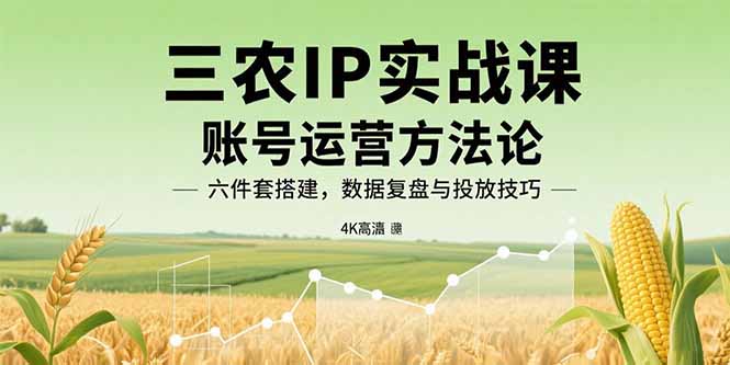 三农IP实战课:账号运营方法论,六件套搭建,数据复盘与投放技巧-灼光资源宝库