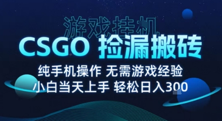8月最新游戏搬砖，CSGO纯挂G，不需要玩游戏，实现真挂G，月入1W+【揭秘】-灼光资源宝库