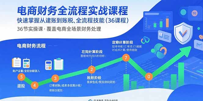 电商财务全流程实战课程：快速掌握从建账到报税的全流程技能(36节课-灼光资源宝库