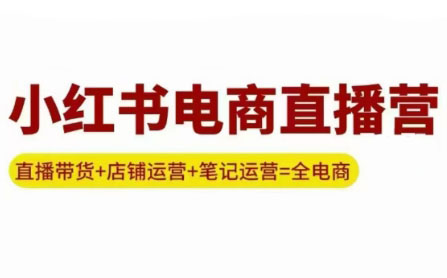 申铭老师·小红书电商直播营(更新)-灼光资源宝库
