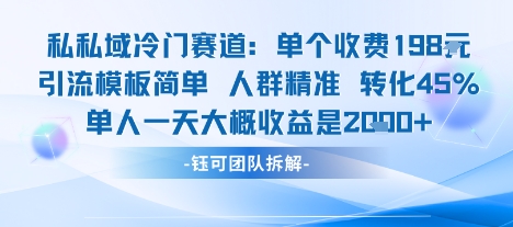 私域冷门赛道单个收费198米引流模板简单人群精准 45%的转化率单人一天大概收益多张-灼光资源宝库