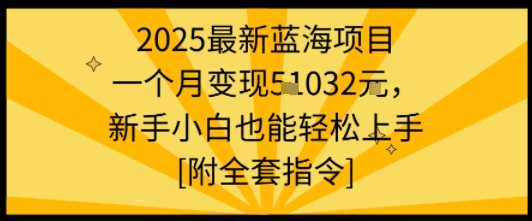 2025最新蓝海项目一个月变现1w+新手小白也能轻松上手【附全套指令】-灼光资源宝库
