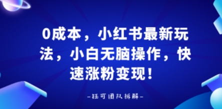 0成本，小红书最新玩法，小白无脑操作，快速涨粉变现-灼光资源宝库