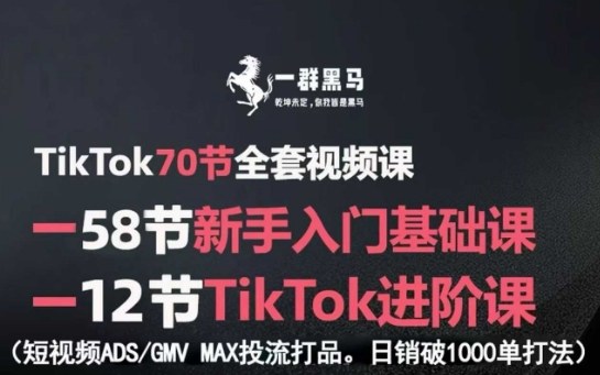 TikTok全套视频课，新手入门+进阶课，短视频ADS-GMV MAX投流打品，日销破1000单打法-灼光资源宝库