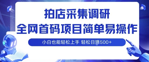 拍店采集调研，全网首码项目，简单易操作， 小白也能轻松上手，多账号操作，轻松日入5张【揭秘】-灼光资源宝库