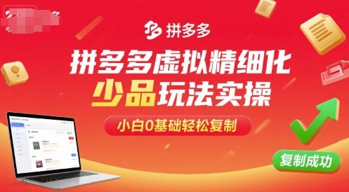 拼多多虚拟精细化少品玩法实操,小白0基础轻松复制-灼光资源宝库
