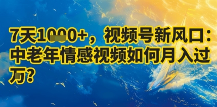 7天收益1k+，视频号新风口：中老年情感视频如何月入过W?-灼光资源宝库
