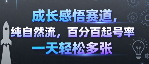 成长感悟赛道，纯自然流，百分百起号率 一天轻松多张-灼光资源宝库