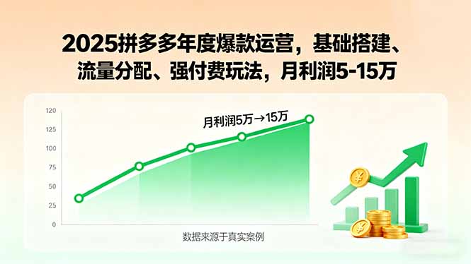 2025拼多多年度爆款运营，基础搭建、流量分配、强付费玩法，月利润5-15万-灼光资源宝库