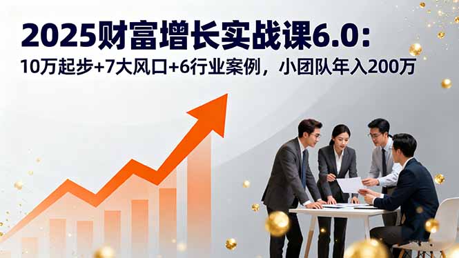 2025财富增长实战课6.0：10万起步+7大风口+6行业案例，小团队年入200万-灼光资源宝库