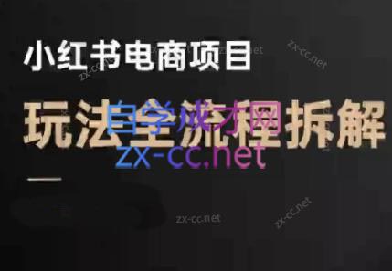 菲菲老师·小红书电商玩法(更新9月)-灼光资源宝库