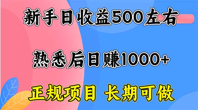 新手日收益500+ 正规项目 长期可做-灼光资源宝库