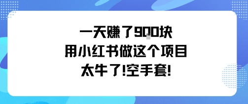 一天挣了9张用小红书做这个项目太牛了，空手套-灼光资源宝库
