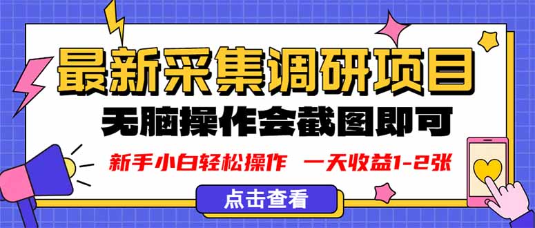 新版采集调研项目，截图上传即可，无脑操作，日收益1-2张-灼光资源宝库