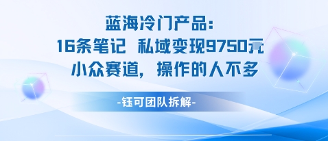 蓝海项目：16条笔记私域变现9750米小众赛道操作的人不多-灼光资源宝库