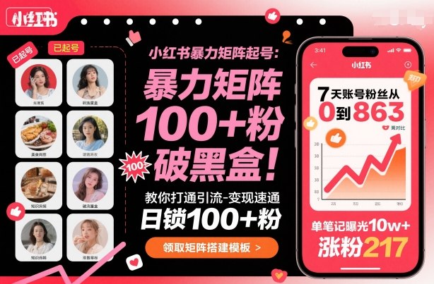 小红书暴力矩阵起号，教你打通引流-变现速通，日锁100+粉，破流量黑盒-灼光资源宝库
