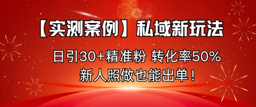 【实测案例】私域新玩法，日引30+精准粉，转化率50%，新人照做也能出单！-灼光资源宝库