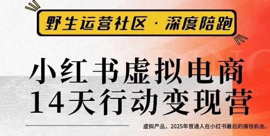 小红书虚拟电商14天变现训练营3.0，​虚拟产品，2025年普通人在小红书最后的搞钱机会-灼光资源宝库