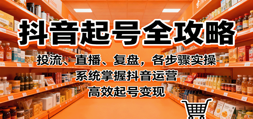 抖音起号全攻略，投流、直播、复盘，各步骤实操，系统掌握抖音运营，高效起号变现-灼光资源宝库