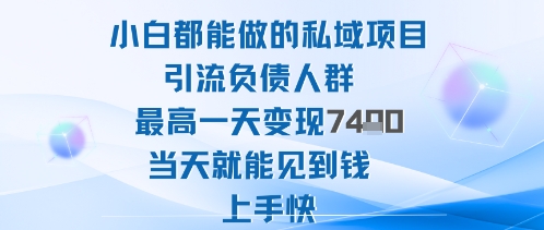 2025年小白都能做的私域项目引流负债人群最高一天变现1k+高变现难度低当天就能见到钱上手快-灼光资源宝库