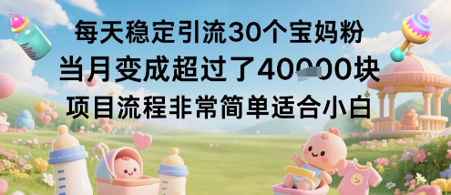 每天稳定引流30个宝妈粉当月变成超过了1W+项目流程非常简单适合小白-灼光资源宝库