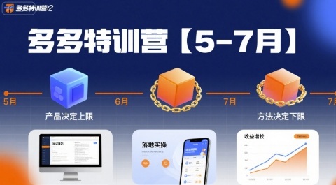 多多特训营，产品决定上限，方法决定下限，各种玩法技巧落地实操(更新)-蘑菇资源宝库