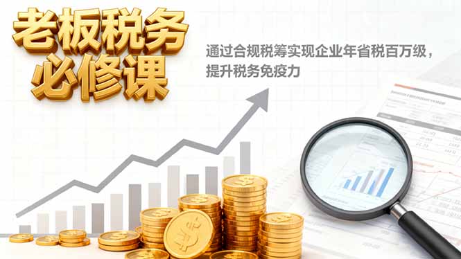 老板税务必修课，通过合规税筹实现企业年省税百万级，提升税务免疫力-蘑菇资源宝库