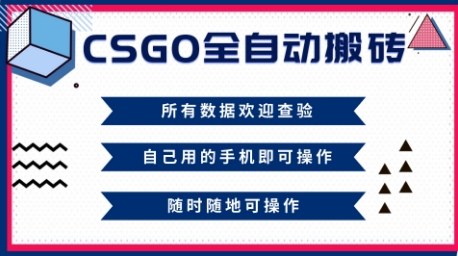 CSGO全自动搬砖，年底钱回家好项目，当天可拿到结果，新手小白轻松月入1W+【揭秘】-灼光资源宝库