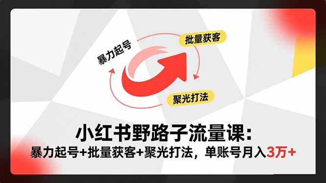 小红书野路子流量课：暴力起号+批量获客+聚光打法，单账号月入3万+-灼光资源宝库