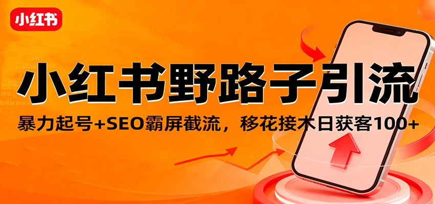 小红书野路子引流，暴力起号+SEO霸屏截流，移花接木日获客100+-灼光资源宝库