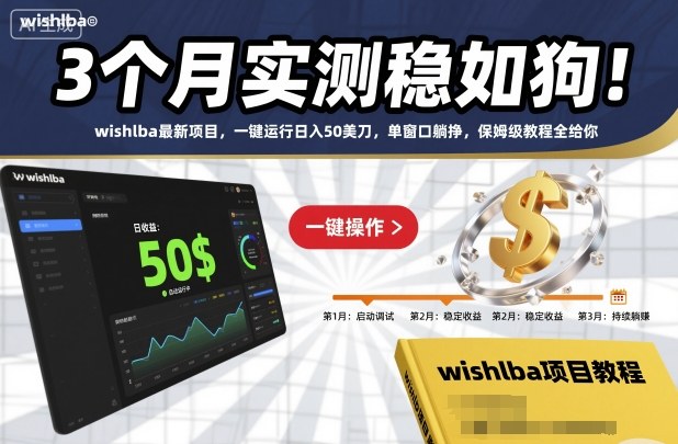 3个月实测稳如狗！wishlba最新项目，一键运行日入50美刀，单窗口躺挣，保姆级教程全给你【揭秘】-灼光资源宝库