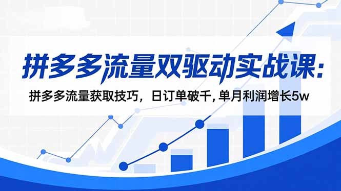 拼多多流量双驱动实战课：拼多多流量获取技巧，日订单破千,单月利润增长5w-灼光资源宝库