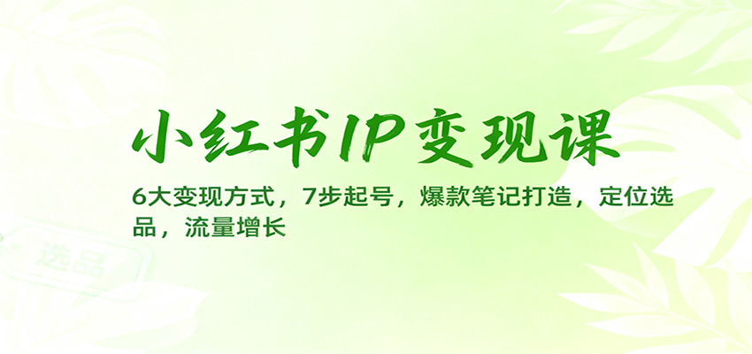 小红书IP变现课：6大变现方式，7步起号，爆款笔记打造，定位选品，流量增长-灼光资源宝库