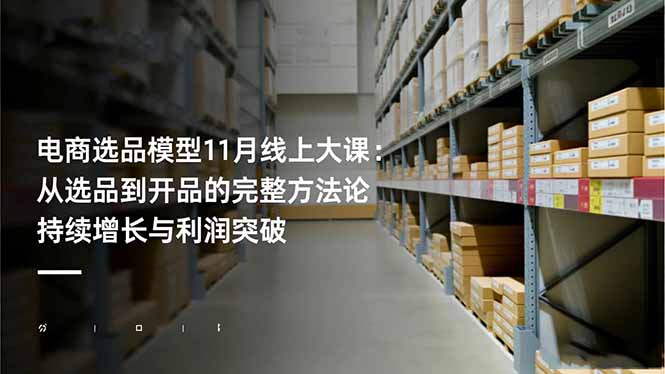 电商选品模型11月线上大课：从选品到开品的完整方法论 持续增长与利润突破-灼光资源宝库