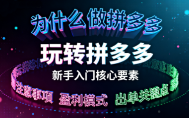 新手小白如何做拼多多-蘑菇资源宝库