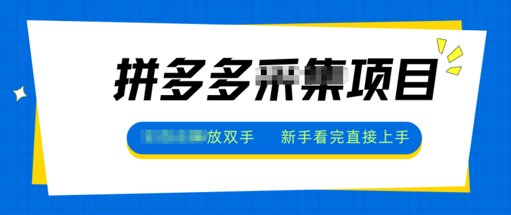拼多多电商采集，一小时50+，操作简单，零投资-灼光资源宝库