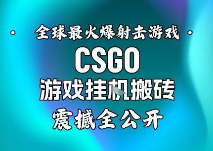 【年底大揭秘】基于全球最火爆的射击CSGO游戏挂G搬砖,日入5张+,震撼公开-灼光资源宝库