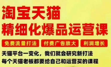 淘宝天猫精细化爆品运营课，免费流量打法-付费广告放大-利润增长-三大核心痛点，一次全部解决-灼光资源宝库