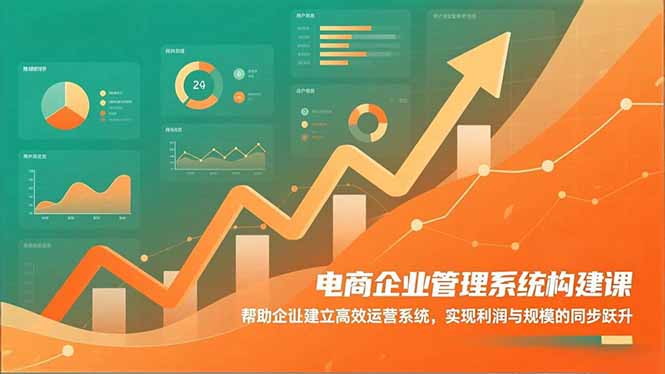电商企业管理系统构建课：帮助企业建立高效运营系统，实现利润与规模的同步跃升-灼光资源宝库