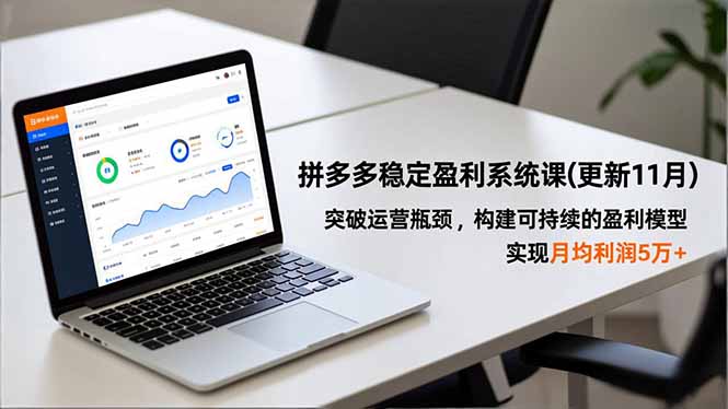 拼多多稳定盈利系统课(更新11月-灼光资源宝库