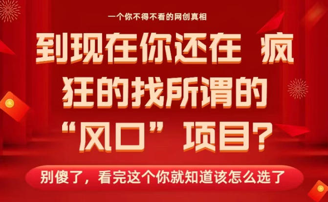 马上26年了，你还在找所谓的风口项目？别傻了，看完这个你全都懂了！【揭秘】-灼光资源宝库