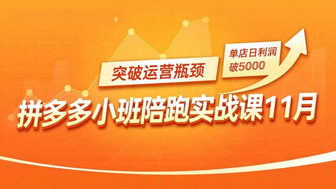 拼多多小班陪跑实战课11月，强付费矩阵、原价活动、暗券引流，突破运营瓶颈，单店日利润破5000-灼光资源宝库