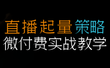 半野老师·直播带货起量与微付费必学课视频号-蘑菇资源宝库