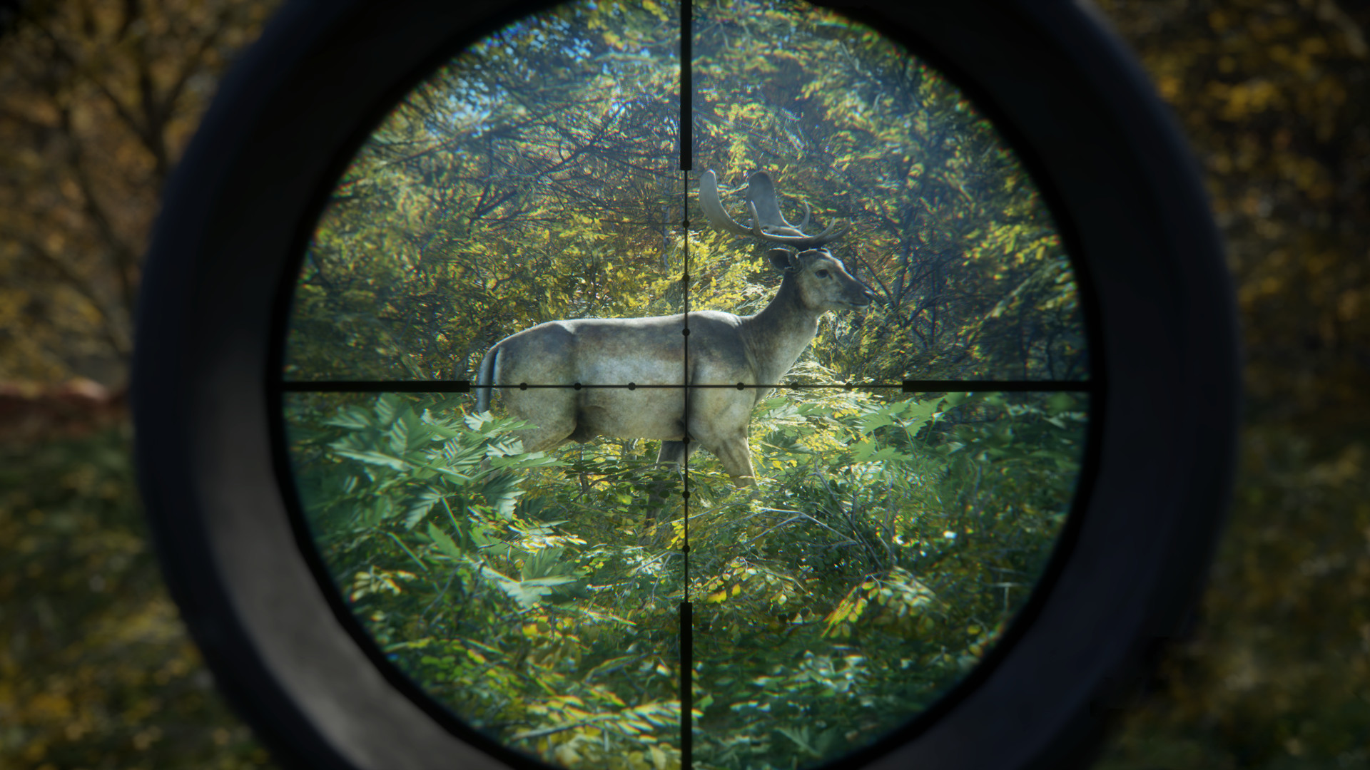 《猎人：荒野的召唤/theHunter: Call of the Wild》PC中文版下载-含v3101875-灼光资源宝库