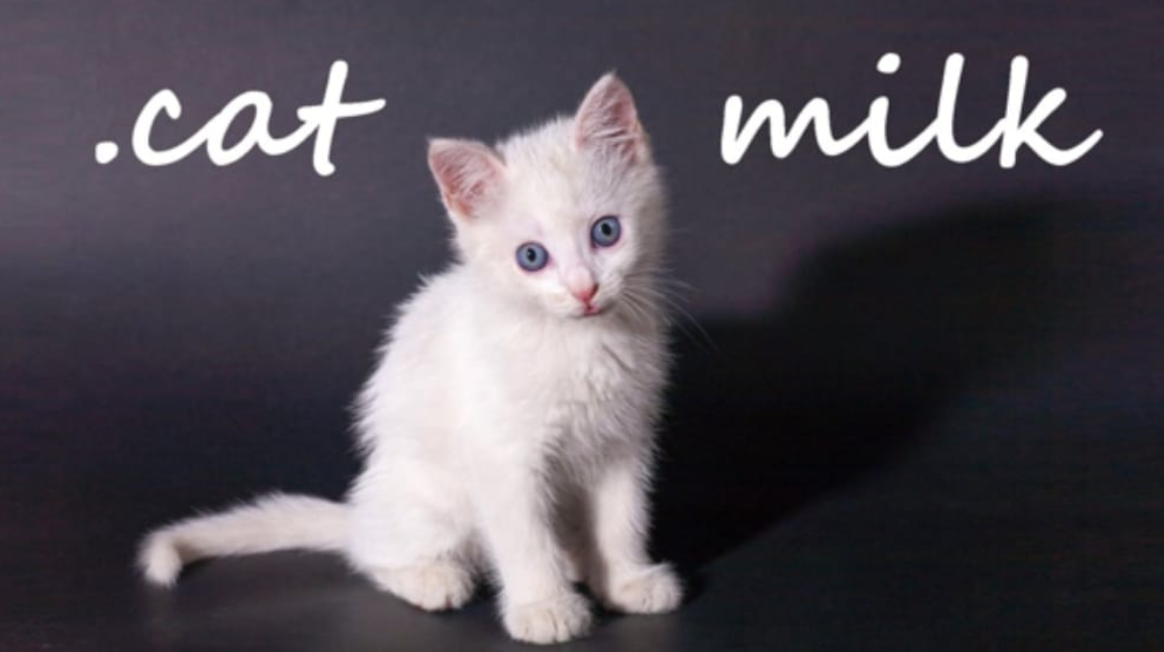 《小奶猫 .cat Milk》Switch英文版NSP下载-蘑菇资源宝库