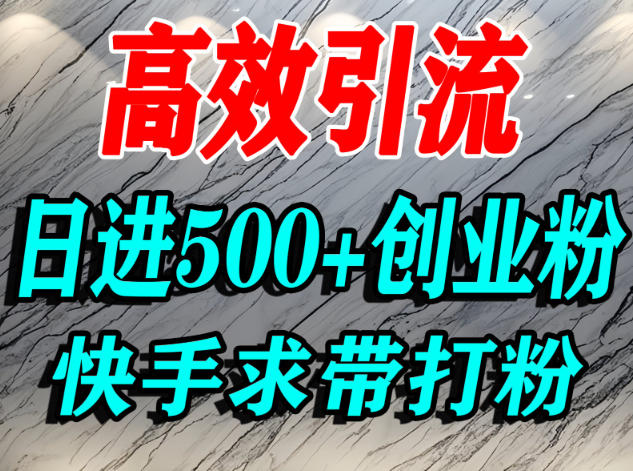 怎么打创业粉？快手求带视角精准引流创业粉，宝妈、学生群体日进500+精准流量-灼光资源宝库