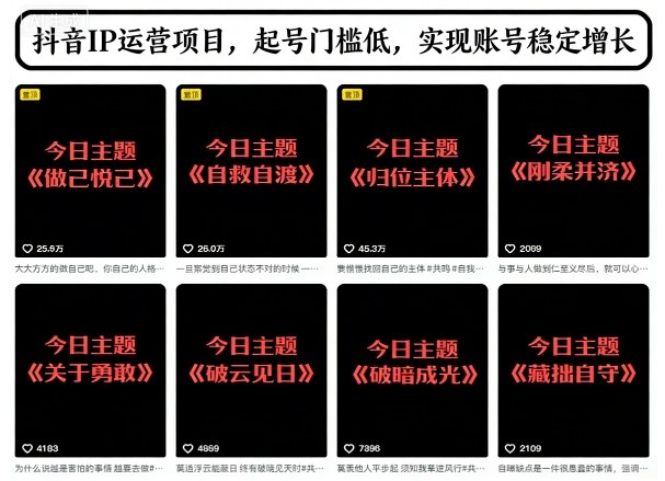 抖音IP运营项目，抖音今日主题玩法，起号门槛低，实现账号稳定增长-灼光资源宝库