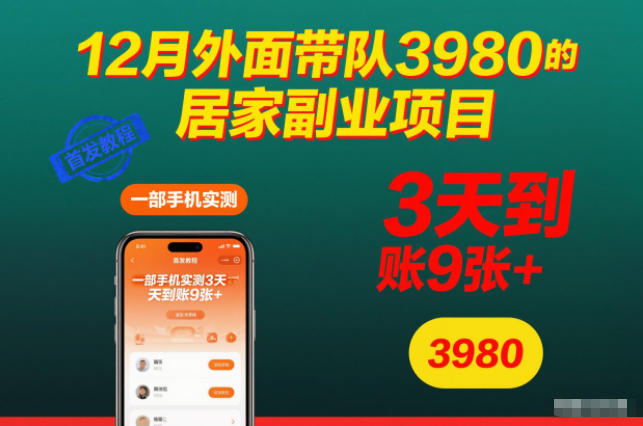12月外面带队3980的居家副业项目，一部手机实测3天到账9张+，首发教程【揭秘】-灼光资源宝库